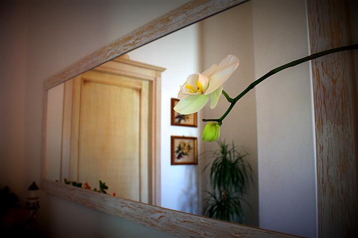 Il Melograno Di Nora Bed & Breakfast พูลา ภายนอก รูปภาพ